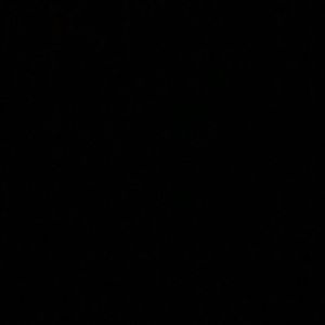 Meet your Posher, Jewel